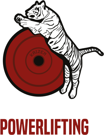 Kaizen Vector Grande